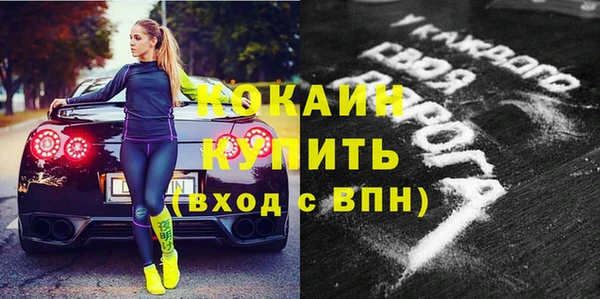 дживик Новодвинск