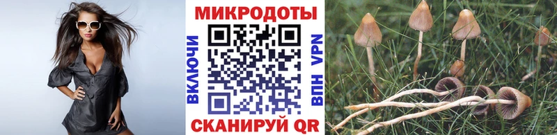 Псилоцибиновые грибы Magic Shrooms  Пестово 
